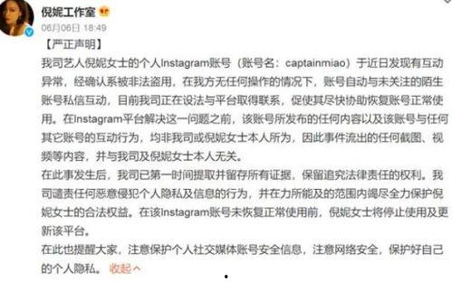 网红大瓜小说免费阅读